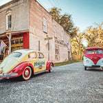 VWs at Micanopy Florida