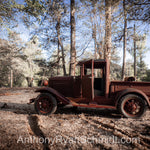 Model T in the woods