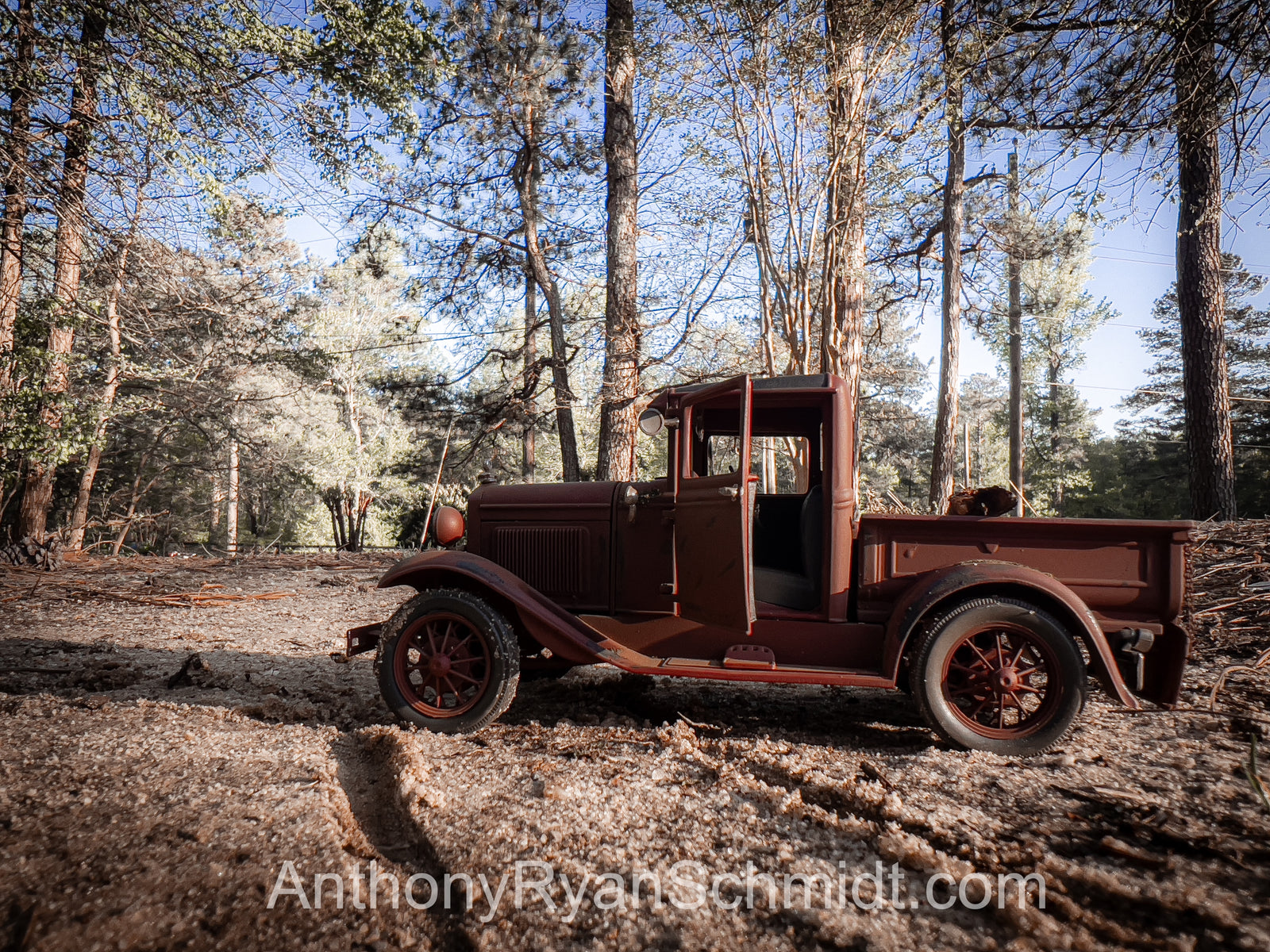Model T in the woods