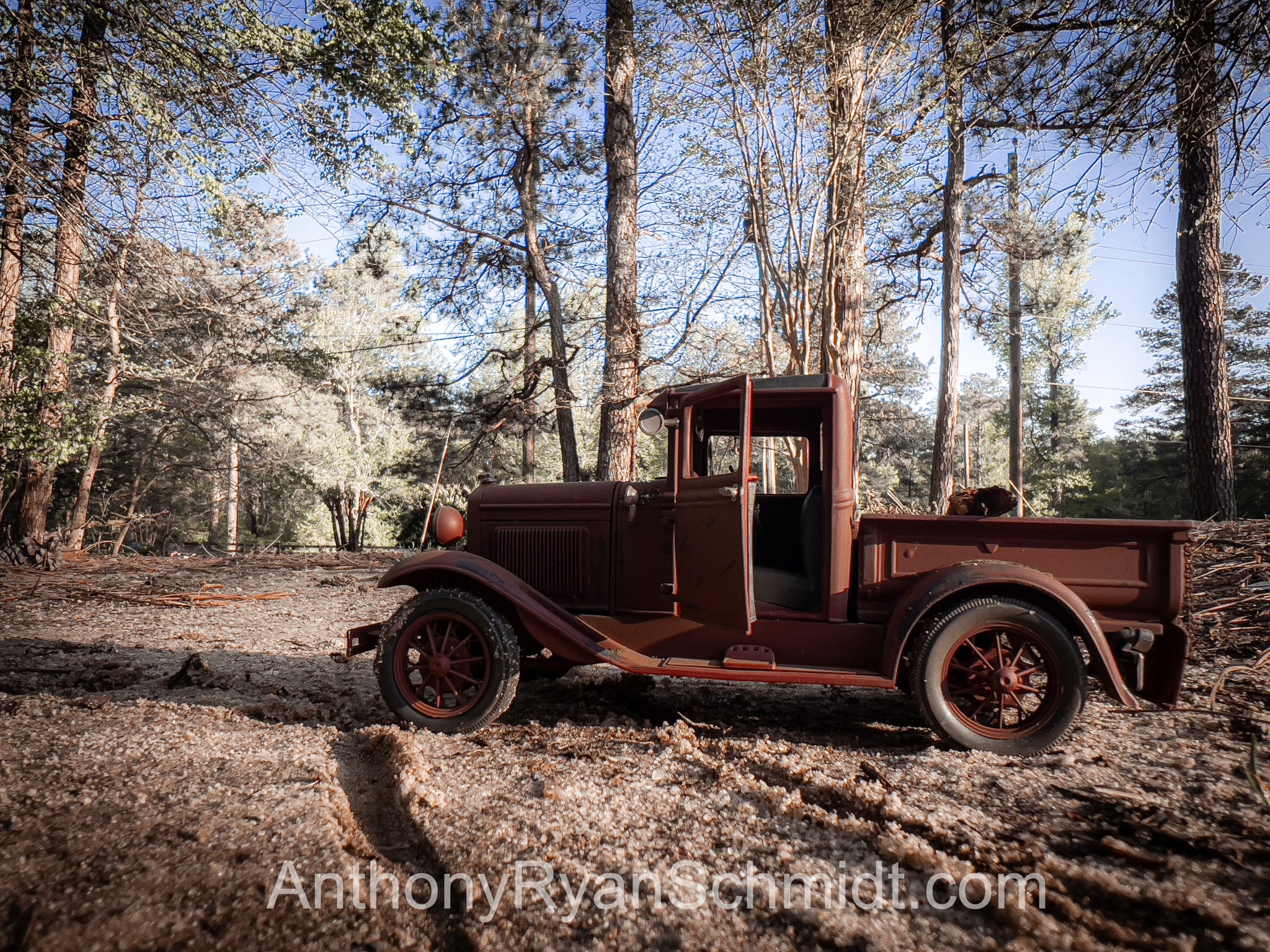 Model T in the woods