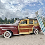 Woody at the Beach
