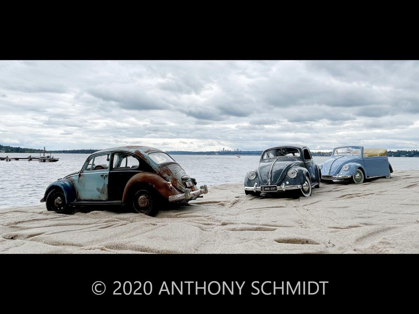 Beetles on the Beach (11"-by-24" Canvas Format Only)