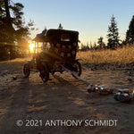 Model T: Just Married