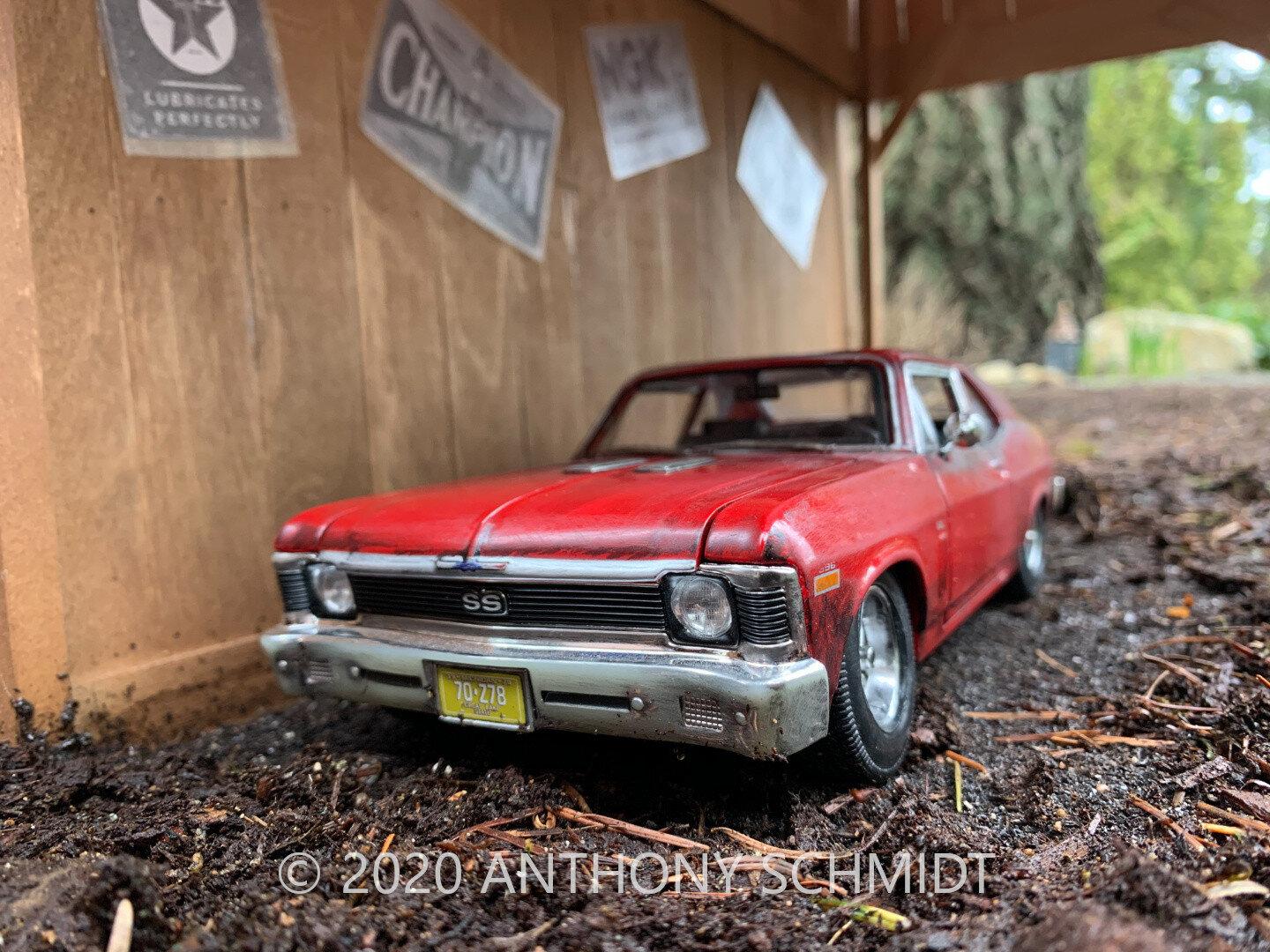Barn Find (5 of 6)